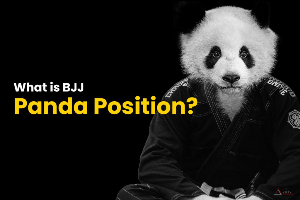Panda Jiu Jitsu Position