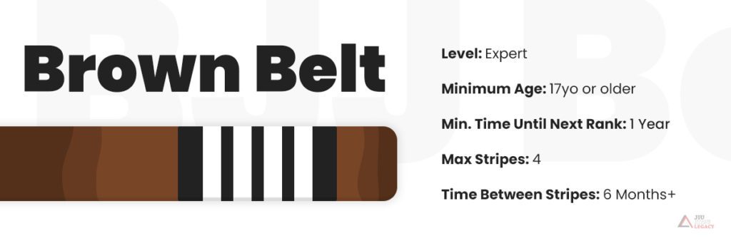 Brown Belt BJJ Belts Ranking System