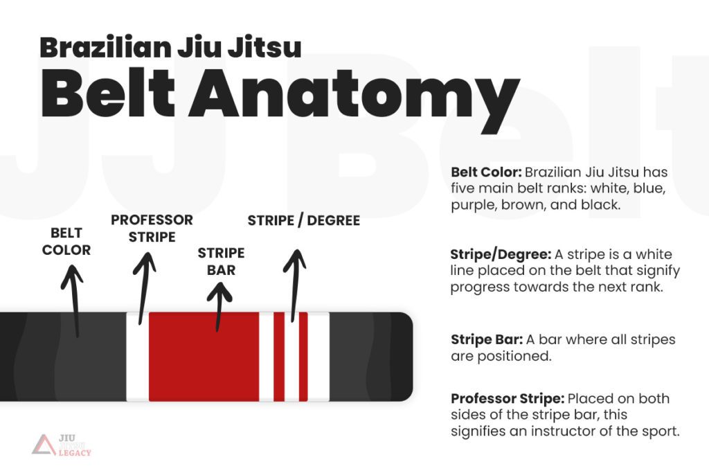 Anatomy of a Brazilian Jiu Jitsu Belt