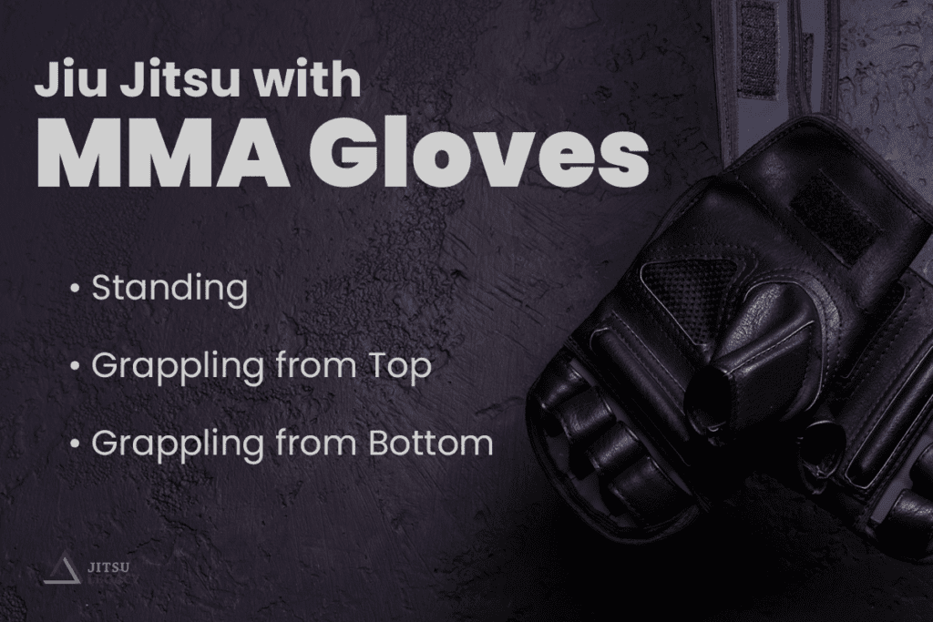 Jiu Jitsu Training with MMA Gloves