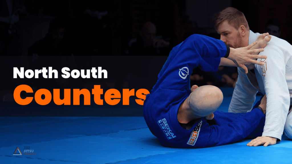 North South BJJ Counters