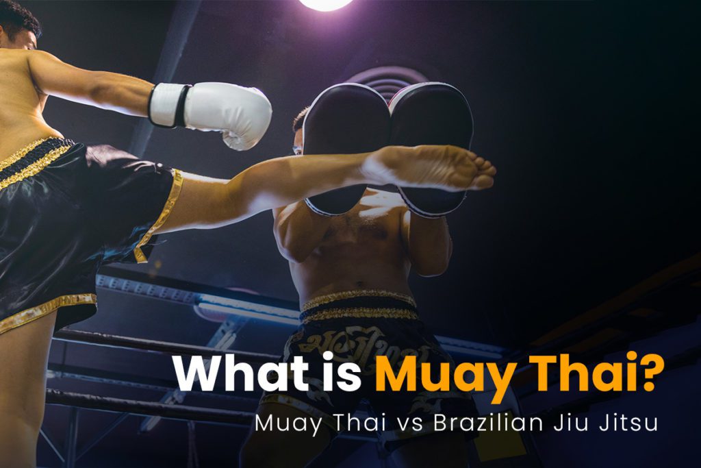 Muay Thai vs BJJ