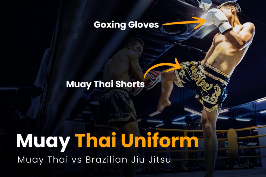 Muay Thai vs Brazilian Jiu Jitsu