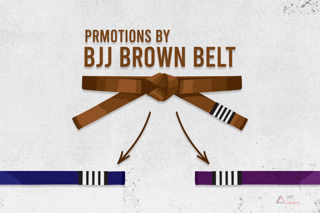 BJJ Brown Belt Promotions