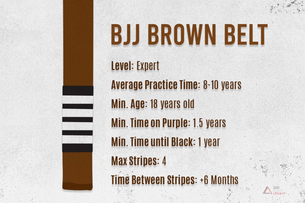 BJJ Brown Belt Statistics